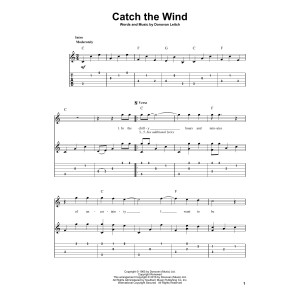 Catch The Wind